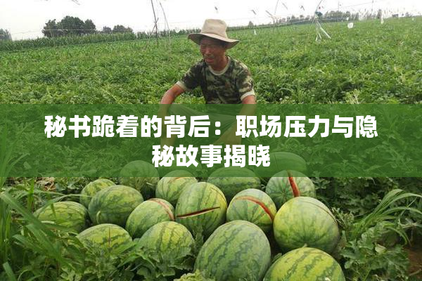 秘书跪着的背后：职场压力与隐秘故事揭晓