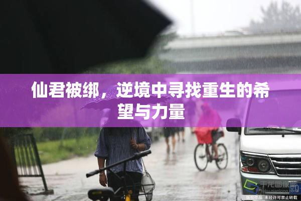 仙君被绑，逆境中寻找重生的希望与力量