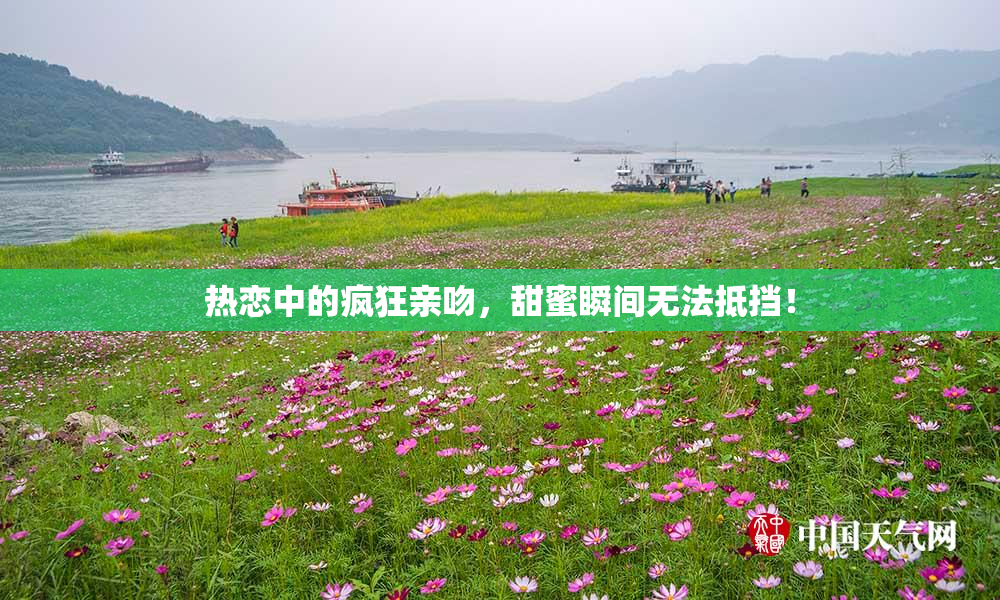 热恋中的疯狂亲吻，甜蜜瞬间无法抵挡！