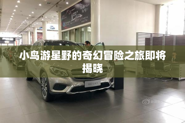 小鸟游星野的奇幻冒险之旅即将揭晓