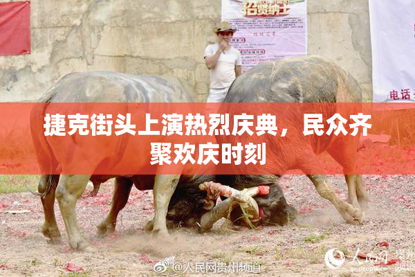 捷克街头上演热烈庆典，民众齐聚欢庆时刻