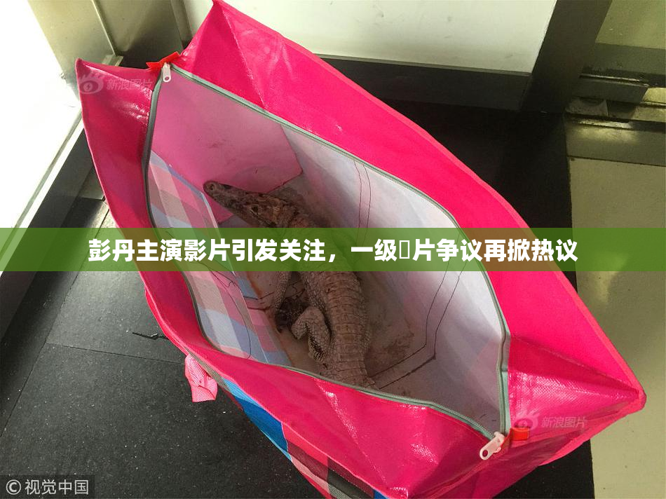 彭丹主演影片引发关注，一级婬片争议再掀热议