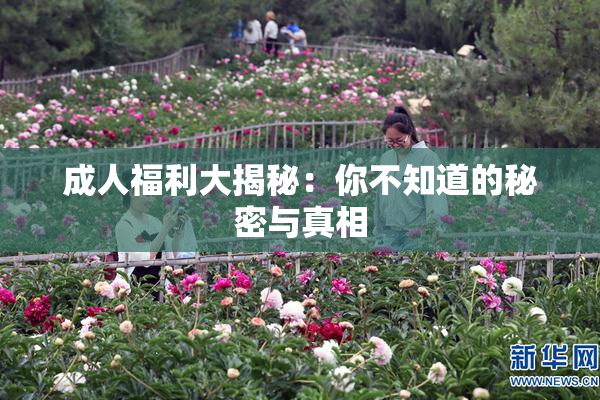 成人福利大揭秘：你不知道的秘密与真相
