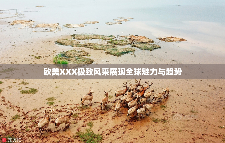 欧美XXX极致风采展现全球魅力与趋势