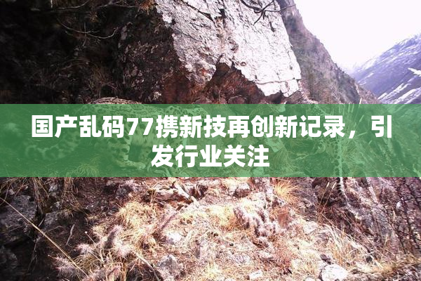 国产乱码77携新技再创新记录，引发行业关注