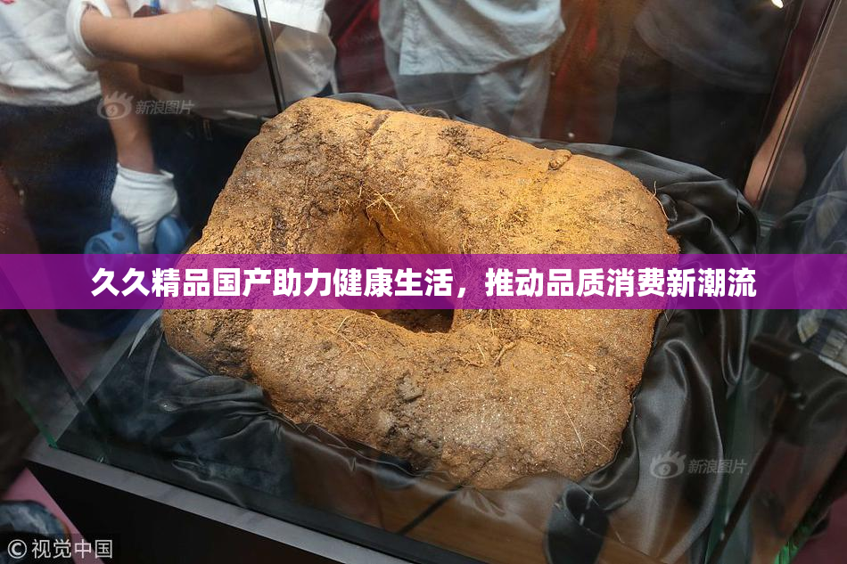 久久精品国产助力健康生活，推动品质消费新潮流