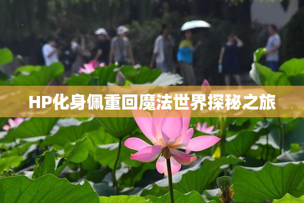 HP化身佩重回魔法世界探秘之旅