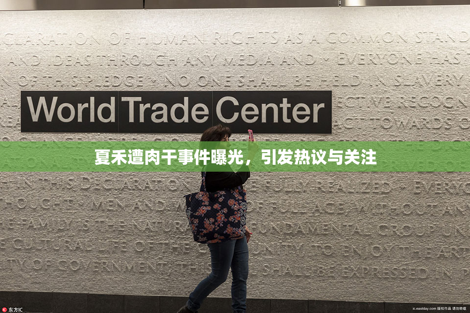 夏禾遭肉干事件曝光，引发热议与关注