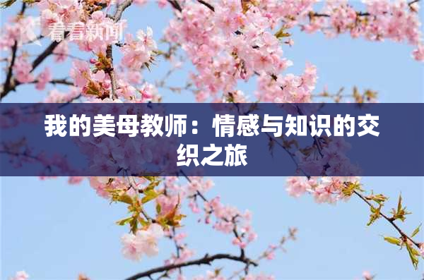 我的美母教师：情感与知识的交织之旅