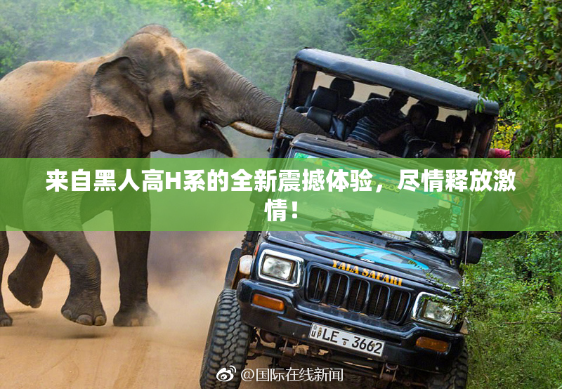 来自黑人高H系的全新震撼体验，尽情释放激情！