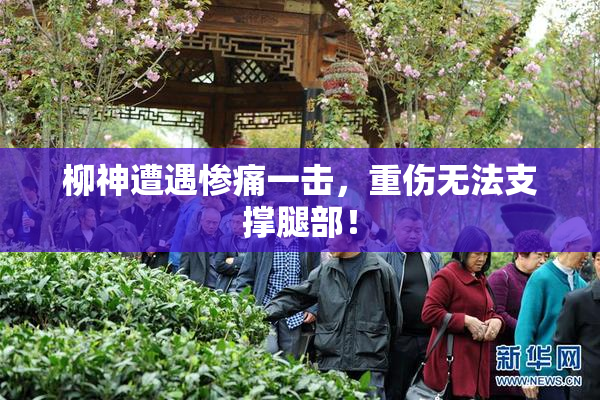 柳神遭遇惨痛一击，重伤无法支撑腿部！