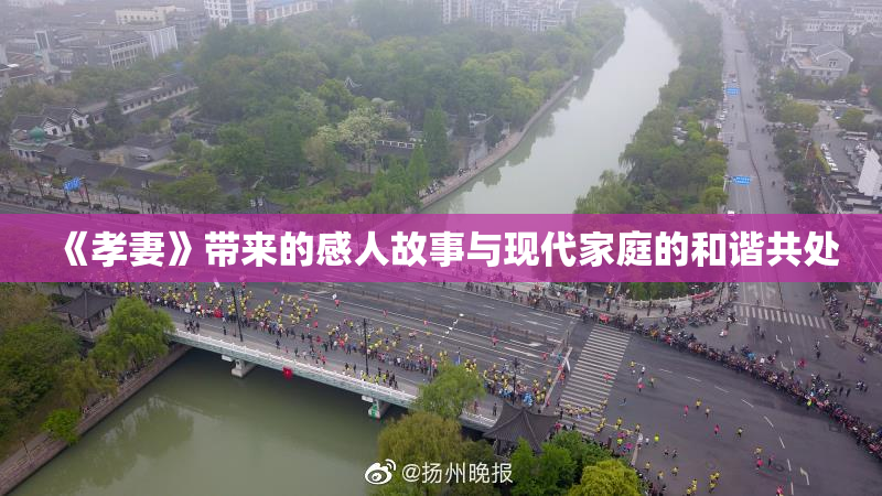 《孝妻》带来的感人故事与现代家庭的和谐共处