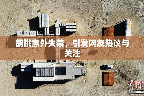 胡桃意外失禁，引发网友热议与关注