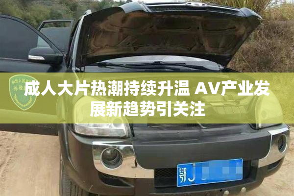 成人大片热潮持续升温 AV产业发展新趋势引关注