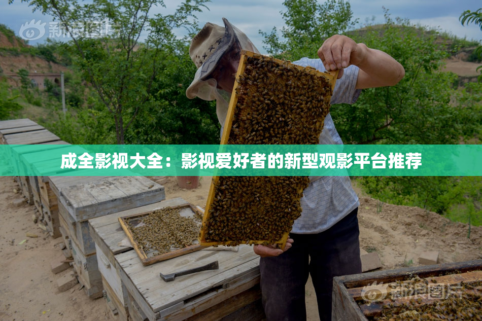 成全影视大全：影视爱好者的新型观影平台推荐