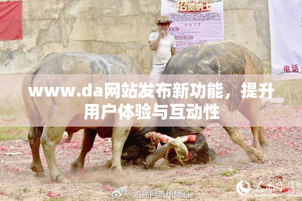 www.da网站发布新功能，提升用户体验与互动性