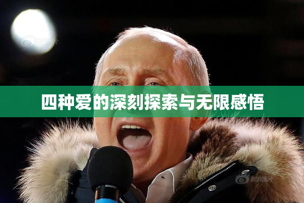 四种爱的深刻探索与无限感悟