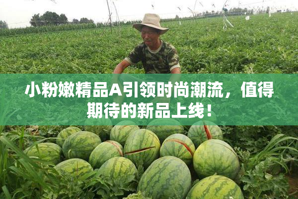 小粉嫩精品A引领时尚潮流，值得期待的新品上线！