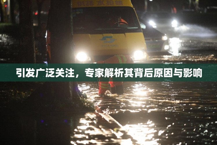 引发广泛关注，专家解析其背后原因与影响