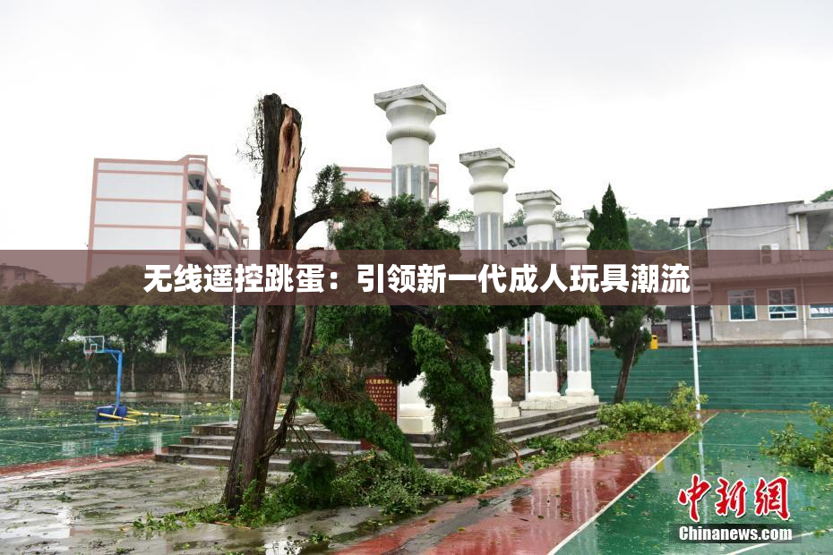 无线遥控跳蛋：引领新一代成人玩具潮流