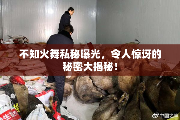 不知火舞私秘曝光，令人惊讶的秘密大揭秘！