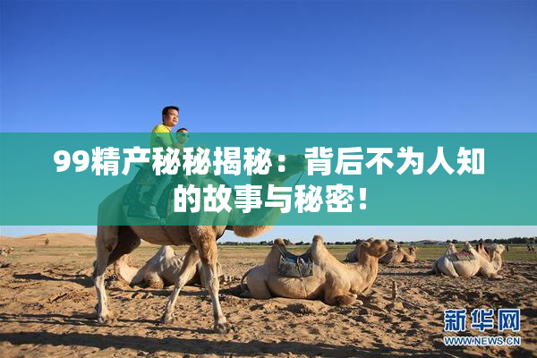 99精产秘秘揭秘：背后不为人知的故事与秘密！