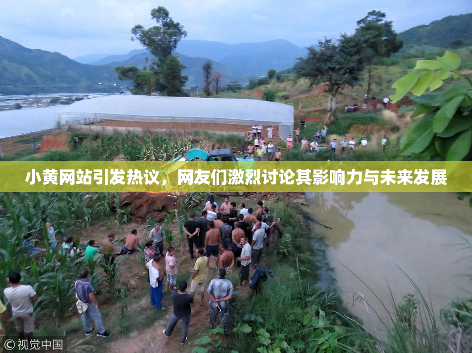 小黄网站引发热议，网友们激烈讨论其影响力与未来发展