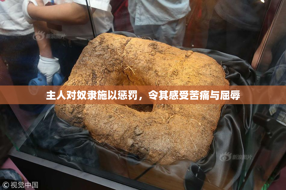主人对奴隶施以惩罚，令其感受苦痛与屈辱