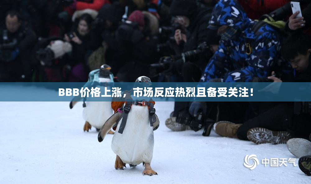 BBB价格上涨，市场反应热烈且备受关注！