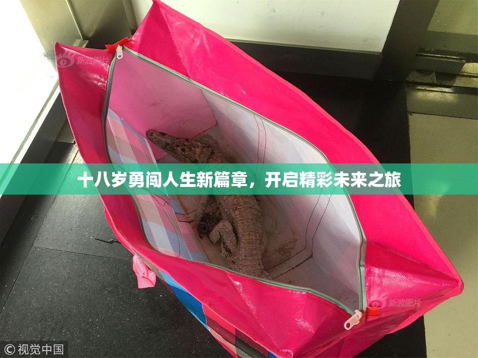 十八岁勇闯人生新篇章，开启精彩未来之旅