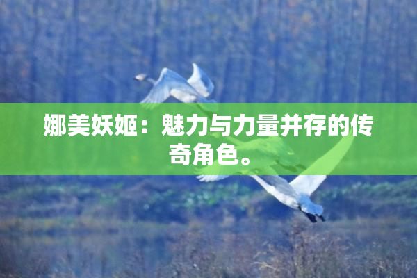 娜美妖姬：魅力与力量并存的传奇角色。