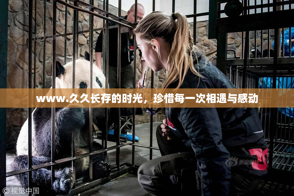 www.久久长存的时光，珍惜每一次相遇与感动
