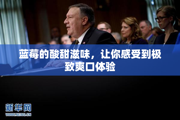 蓝莓的酸甜滋味，让你感受到极致爽口体验