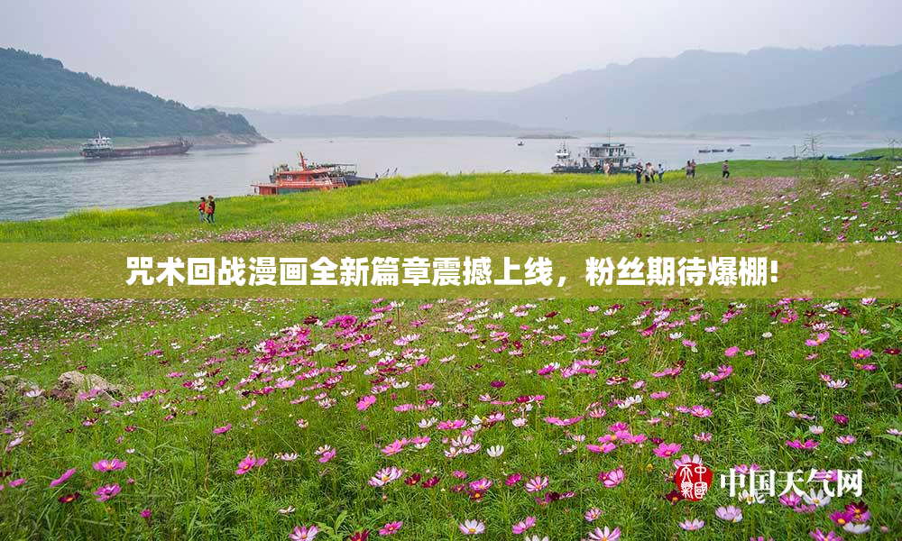咒术回战漫画全新篇章震撼上线，粉丝期待爆棚!