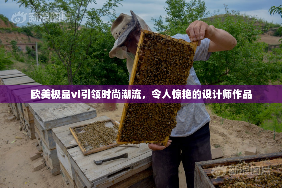欧美极品vi引领时尚潮流，令人惊艳的设计师作品