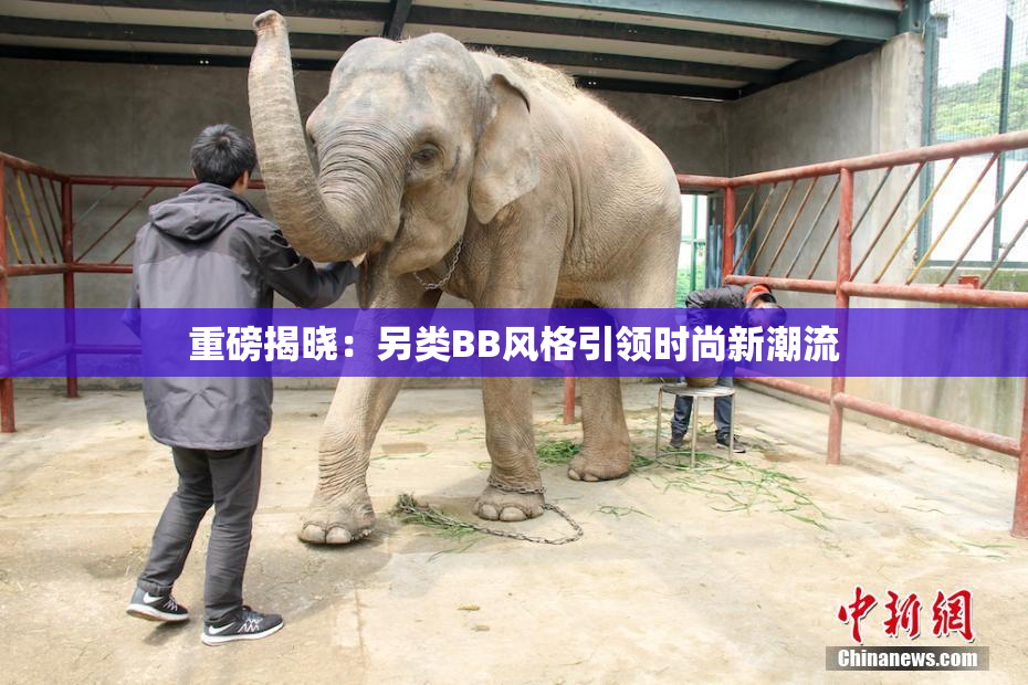 重磅揭晓：另类BB风格引领时尚新潮流
