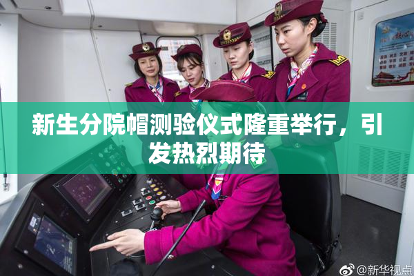 新生分院帽测验仪式隆重举行，引发热烈期待