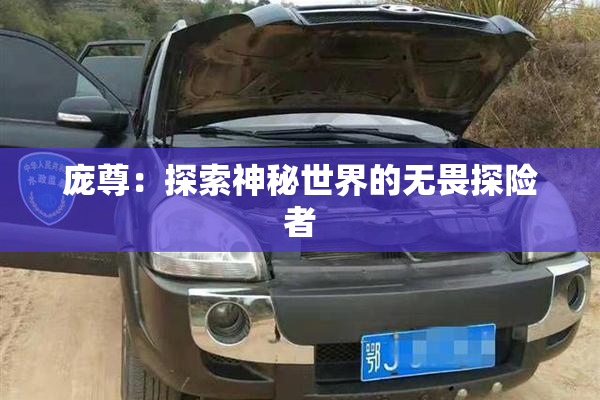 庞尊：探索神秘世界的无畏探险者