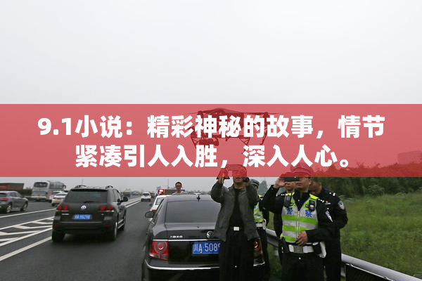 9.1小说：精彩神秘的故事，情节紧凑引人入胜，深入人心。