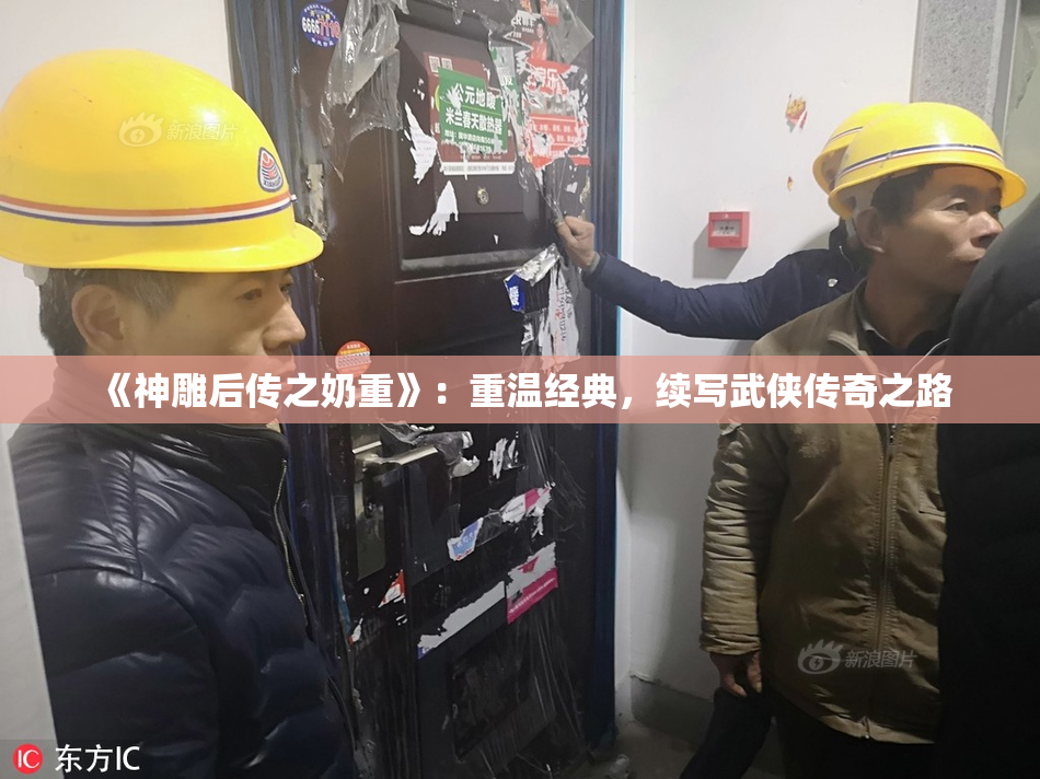《神雕后传之奶重》：重温经典，续写武侠传奇之路