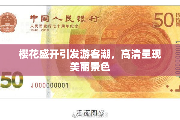 樱花盛开引发游客潮，高清呈现美丽景色