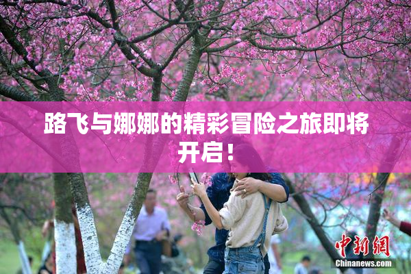 路飞与娜娜的精彩冒险之旅即将开启！