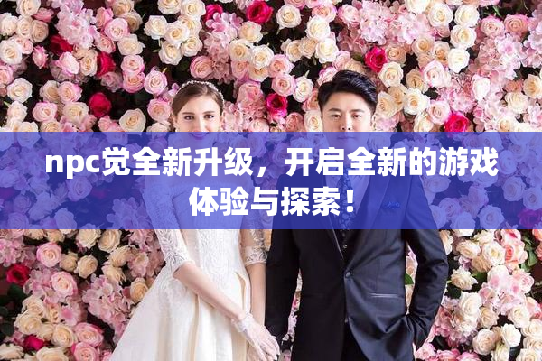 npc觉全新升级，开启全新的游戏体验与探索！
