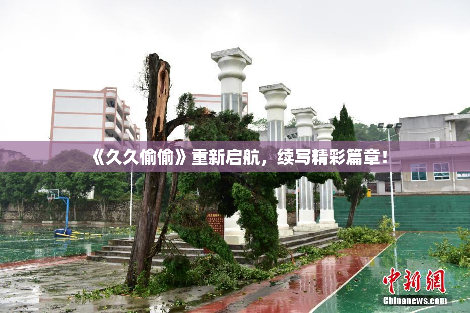 《久久偷偷》重新启航，续写精彩篇章！