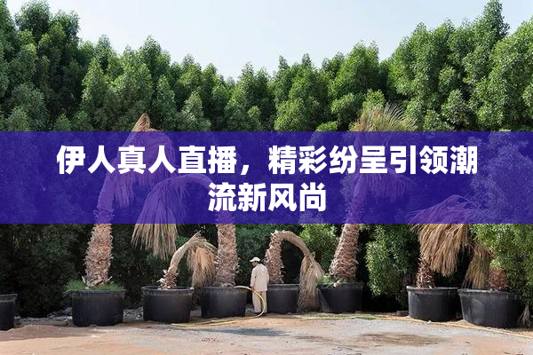 伊人真人直播，精彩纷呈引领潮流新风尚
