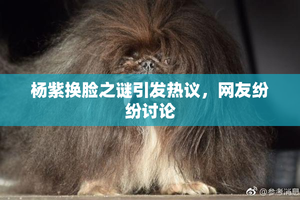 杨紫换脸之谜引发热议，网友纷纷讨论