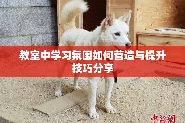 教室中学习氛围如何营造与提升技巧分享