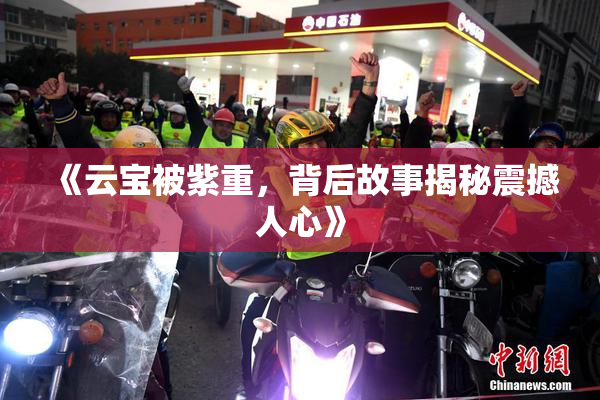 《云宝被紫重，背后故事揭秘震撼人心》