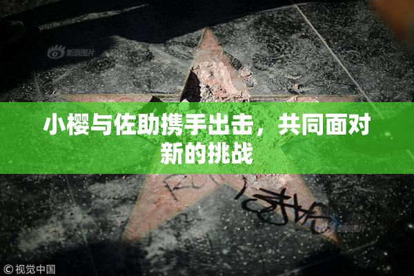 小樱与佐助携手出击，共同面对新的挑战