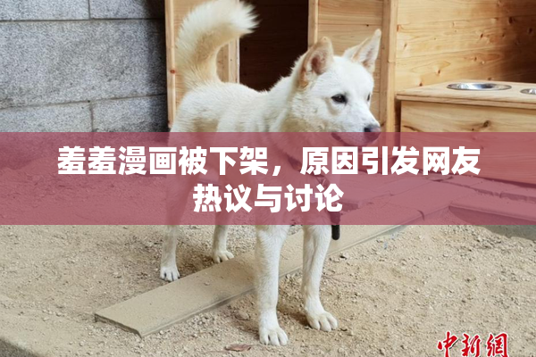 羞羞漫画被下架，原因引发网友热议与讨论